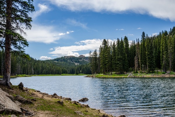Lynx Lake Recreation Area